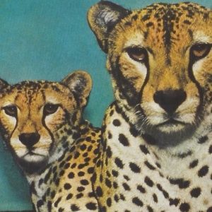 Meet your Posher, Julia